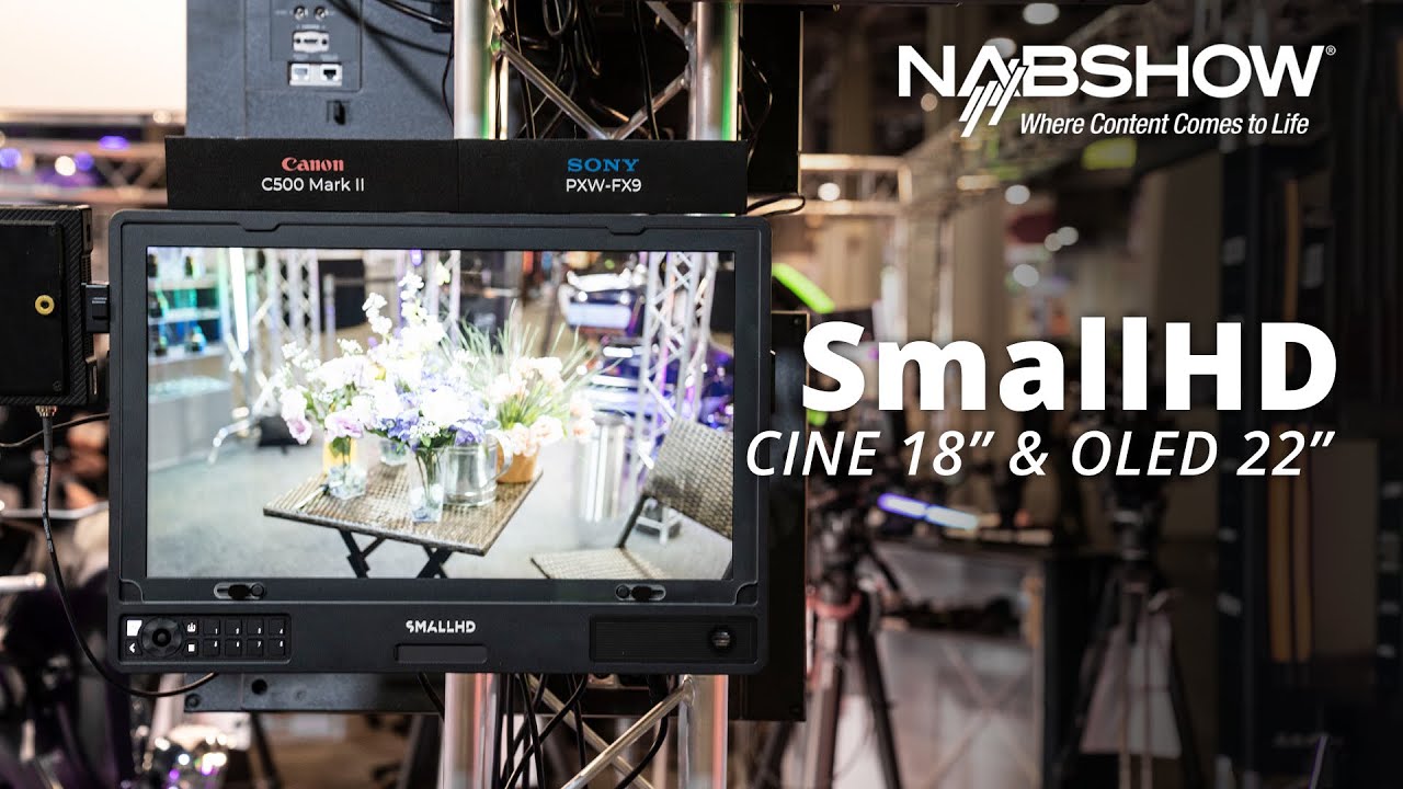 Мониторы SmallHD Cine 18
