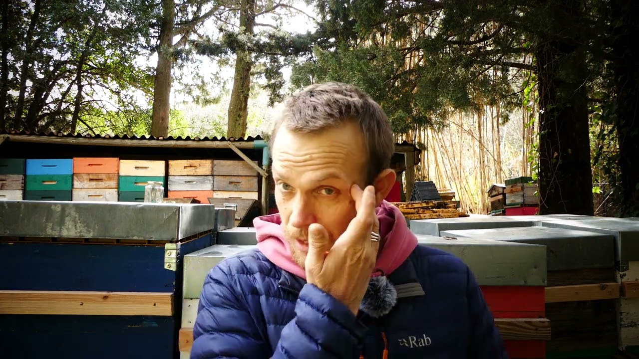 Stop ! le nourrissement au sirop, je passe au miel.