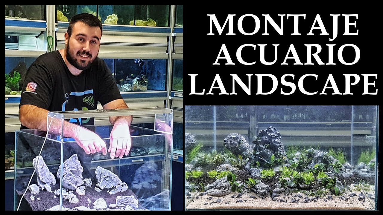 🌱 MONTAJE ACUARIO PLANTADO 120L PASO A PASO 🐠 | AQUARIUM BLOG ✔️