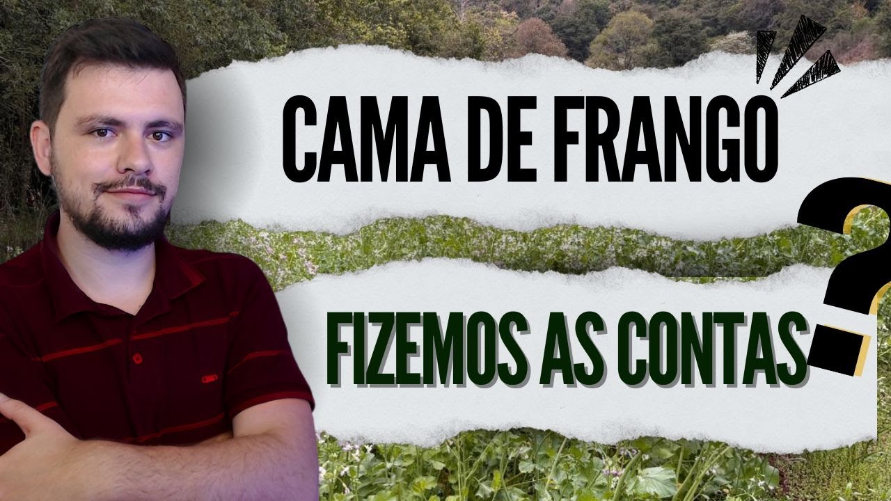 USO de cama de Frango - Fizemos as contas para disponibilizar os nutrientes