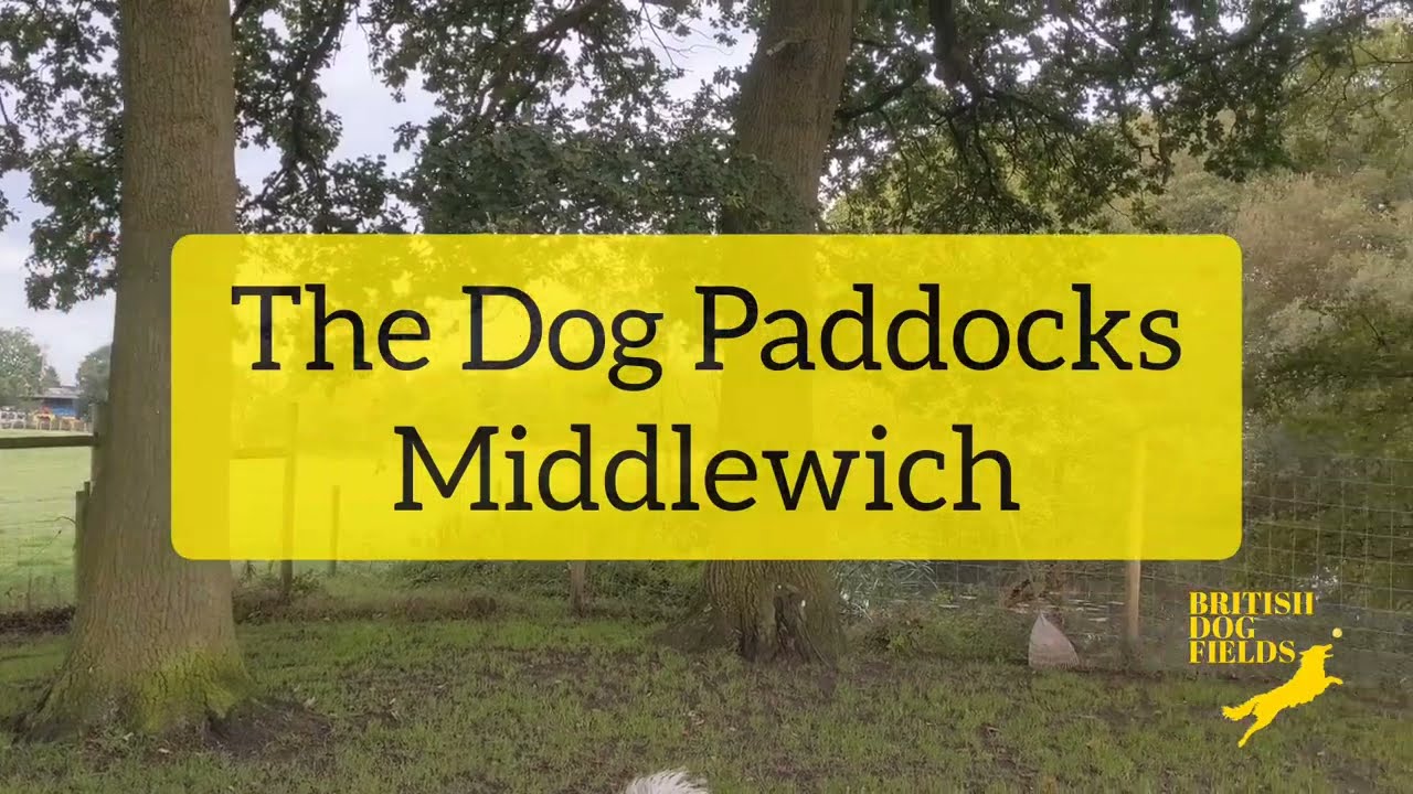 The Dog Paddocks Secure Dog Walking Field, Middlewich