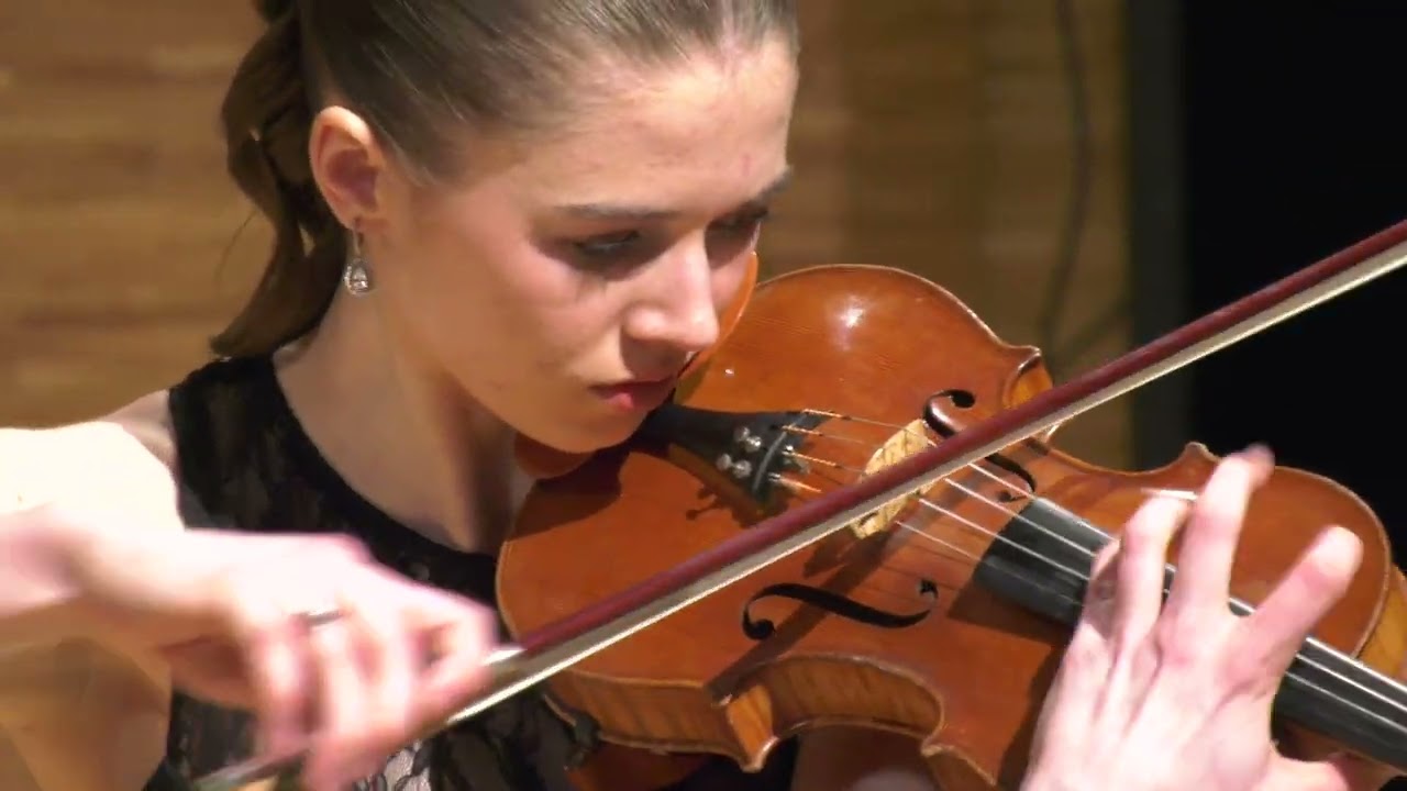 P.  Sarasate - Mustlasviisid (Zigeunerweisen)