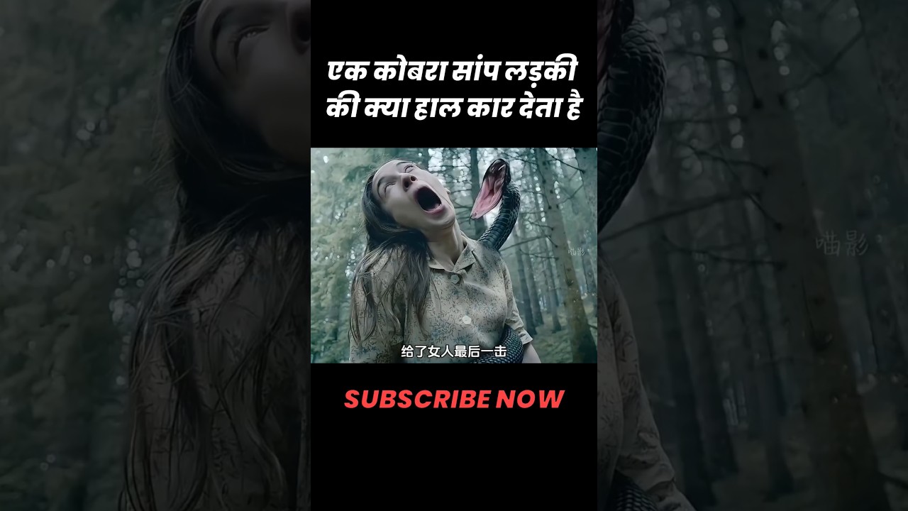 Hollywood Horror Movie Hindi Dubbed || Hollywood Sci-fi Movie Hindi Dubbed || Hollywood Action Film
