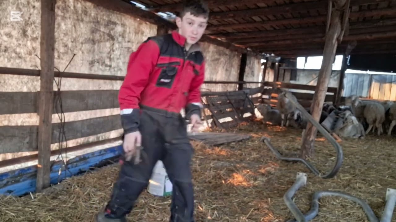 facem treaba prin ferma. Partea 1