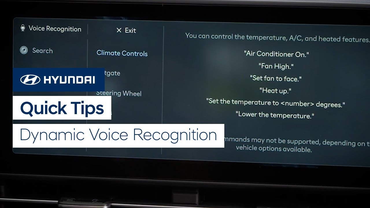 Quick Tips: Dynamic Voice Recognition | Bluelink