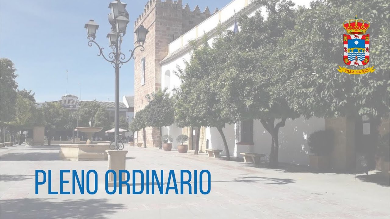SESIÓN PLENARIA ORDINARIA  30/1/2025