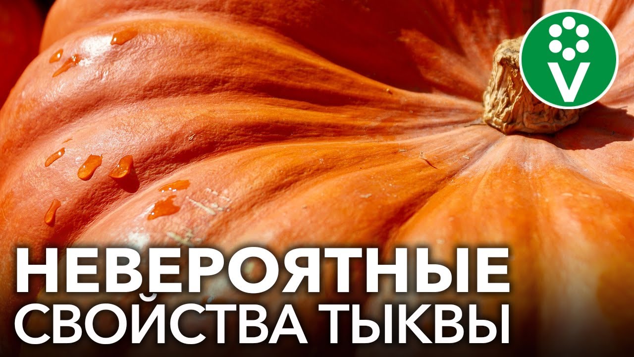 ВОТ ЧТО ТВОРИТ ТЫКВА! Невероятная польза тыквы для здоровья и красоты