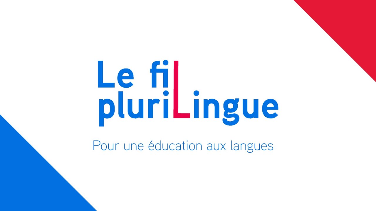 Qu'est-ce qui vous motive pour monter des projets interdisciplinaires(alliant FLE et DNL)?