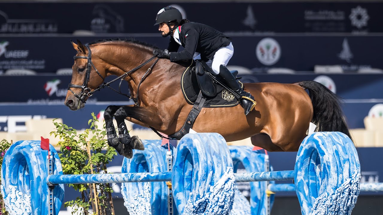 Galb DXB (Cornet Obolensky x Cassini I) 9th place with a top quality stallion at CSI4* Sharjah!! 🔥🚀