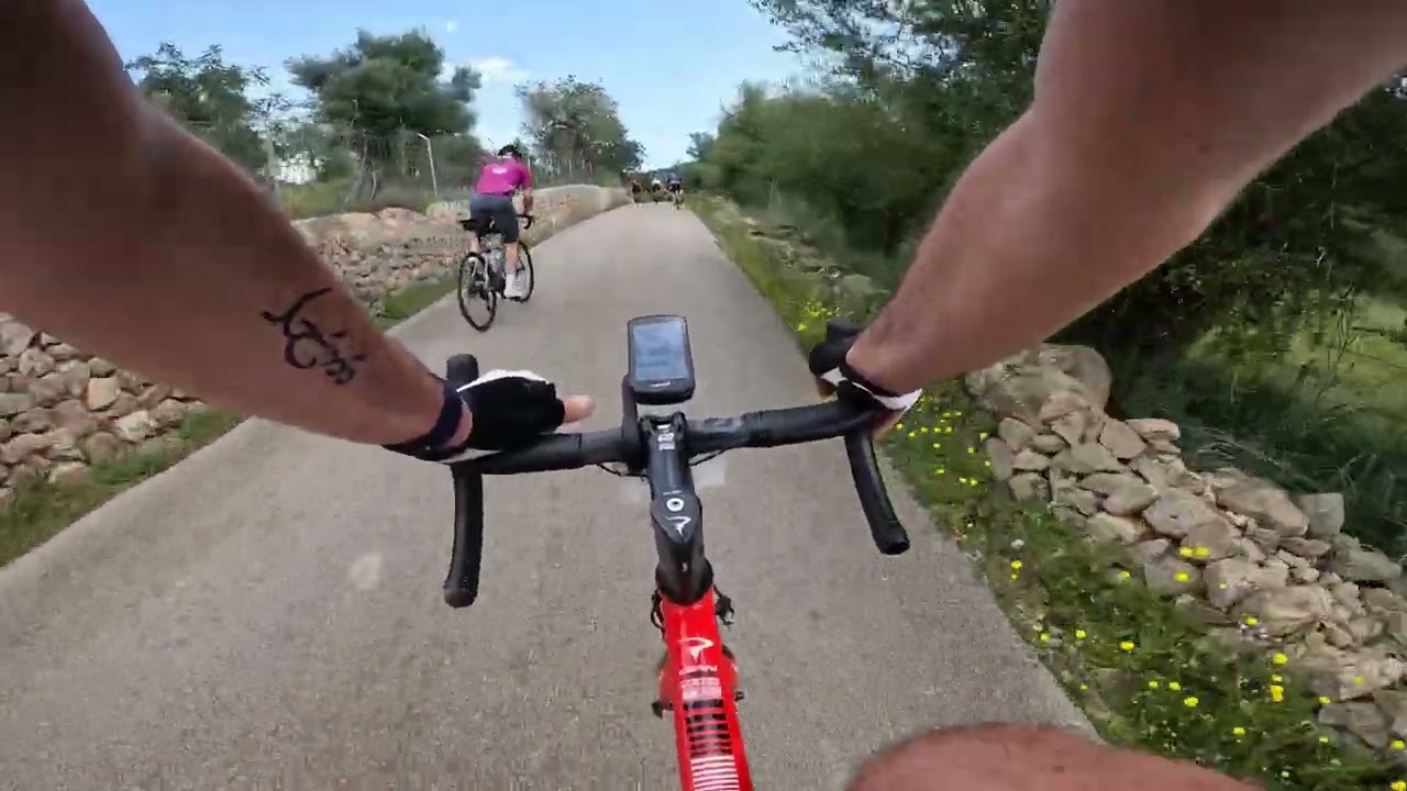 Mallorca 312 (2022) pt.3