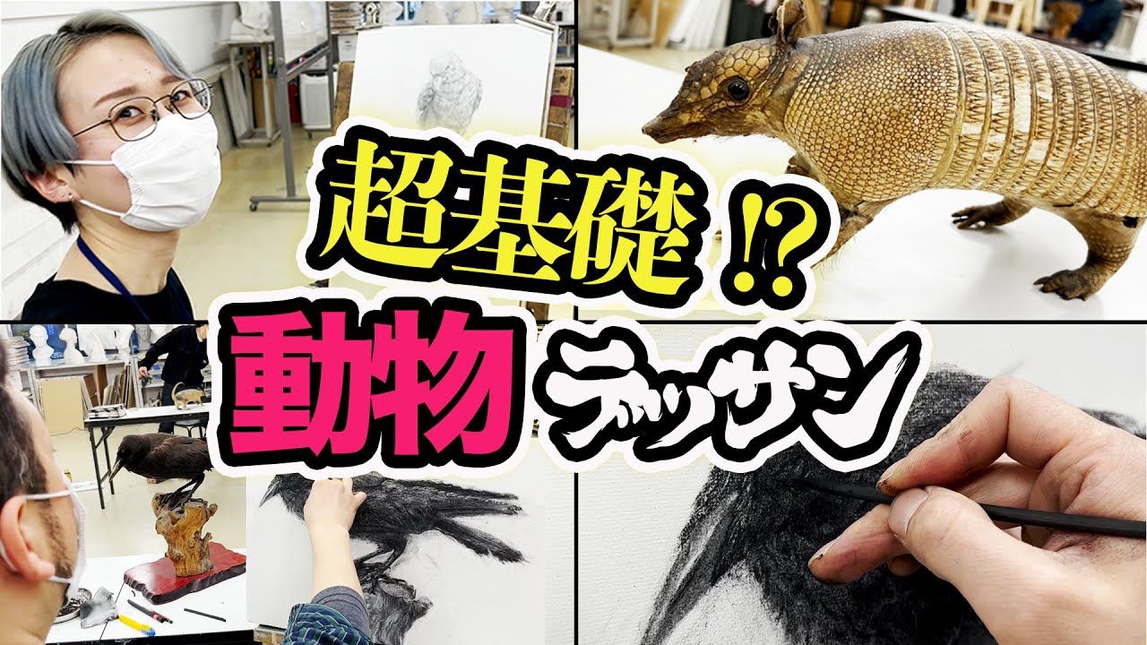 【美大芸大】超基礎！？動物デッサン【油画・日本画・彫刻】