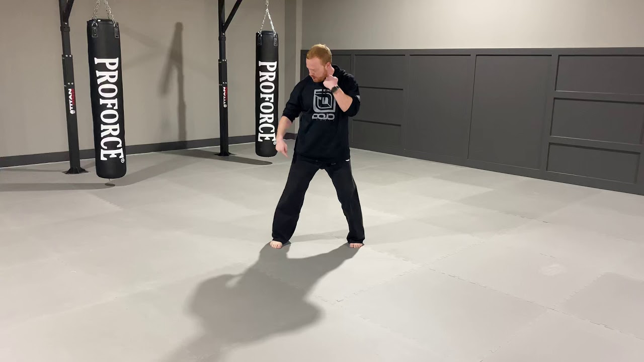 Skipping Side Kick