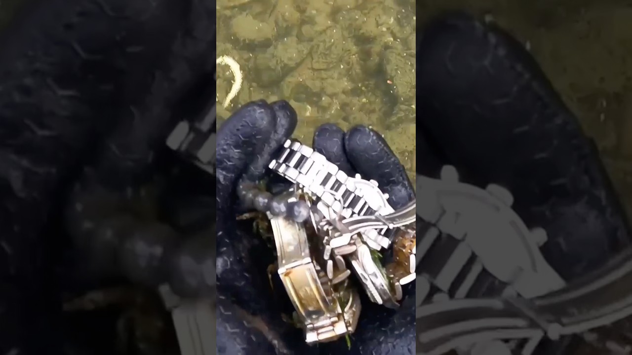 Found stolen Rolex and more Watches dumped in the River #rivertreasure #rolex