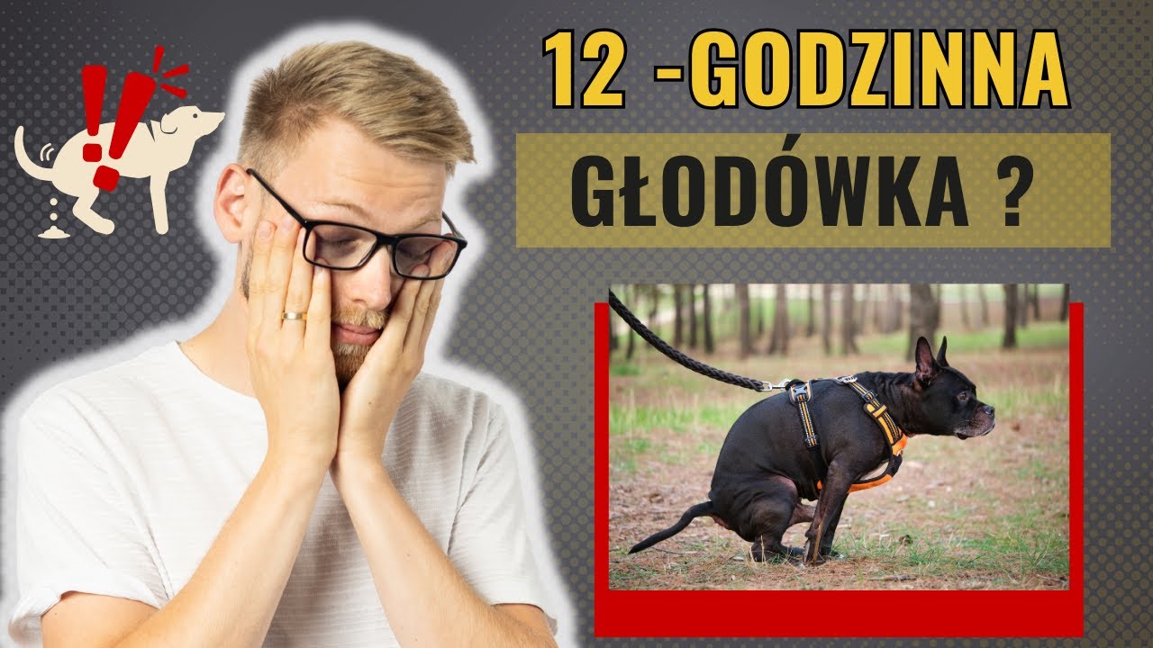 Biegunka u psa 💩 &ndash; Co robić, jak pom&oacute;c? Wszystko, co musisz wiedzieć!