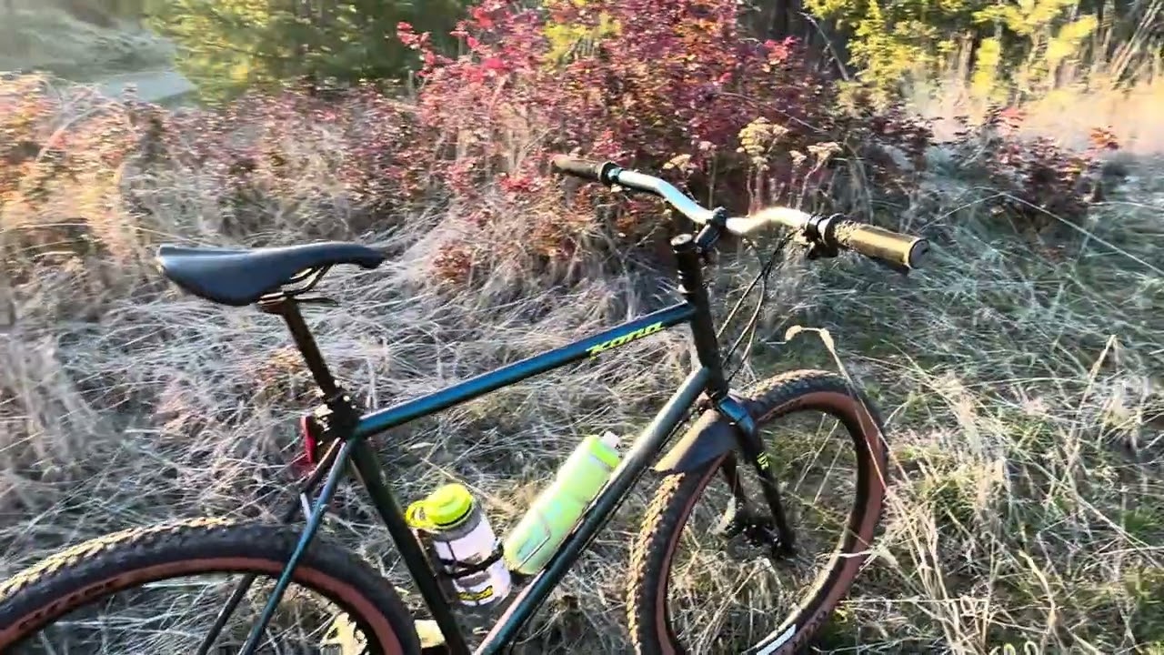Kona Sutra Ltd 2019 Custom Build (27.5x2.6)