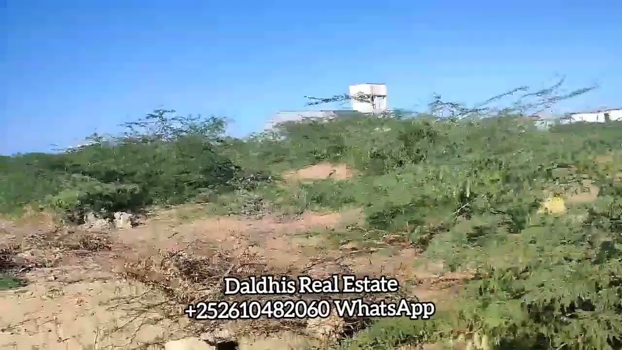 Dhul iib ah, Xaafada Waxara cade/Laamiga SOS u dhaw, Qiimo jaban, +252610482060 WhatsApp