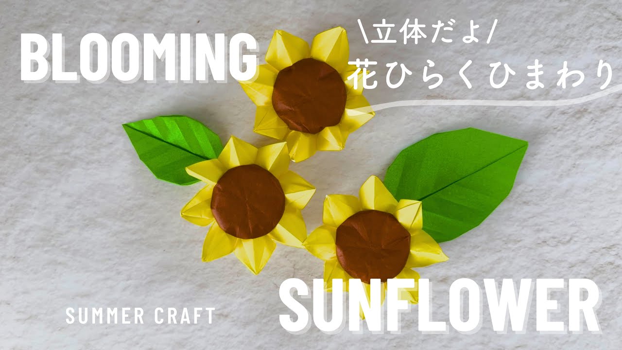 【ゆっくり】立体で花ひらく♪ひまわり- Blooming sunflowers