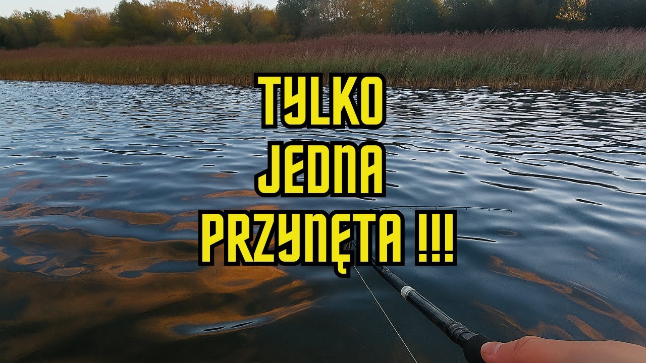 Tylko jedna przynęta!