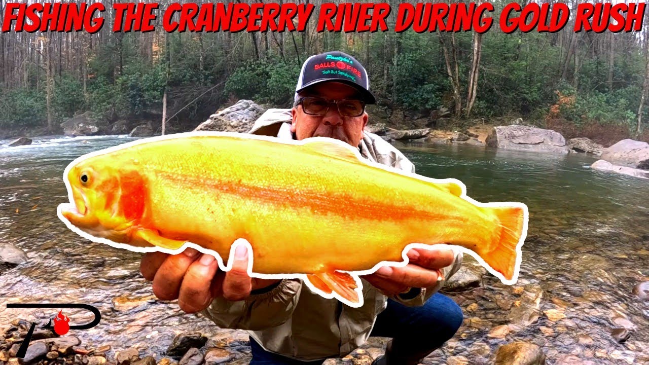 Cranberry River Gold Rush Fishing