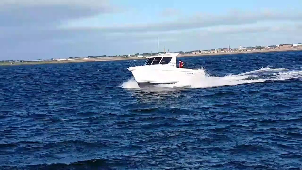 Arvor plus speed