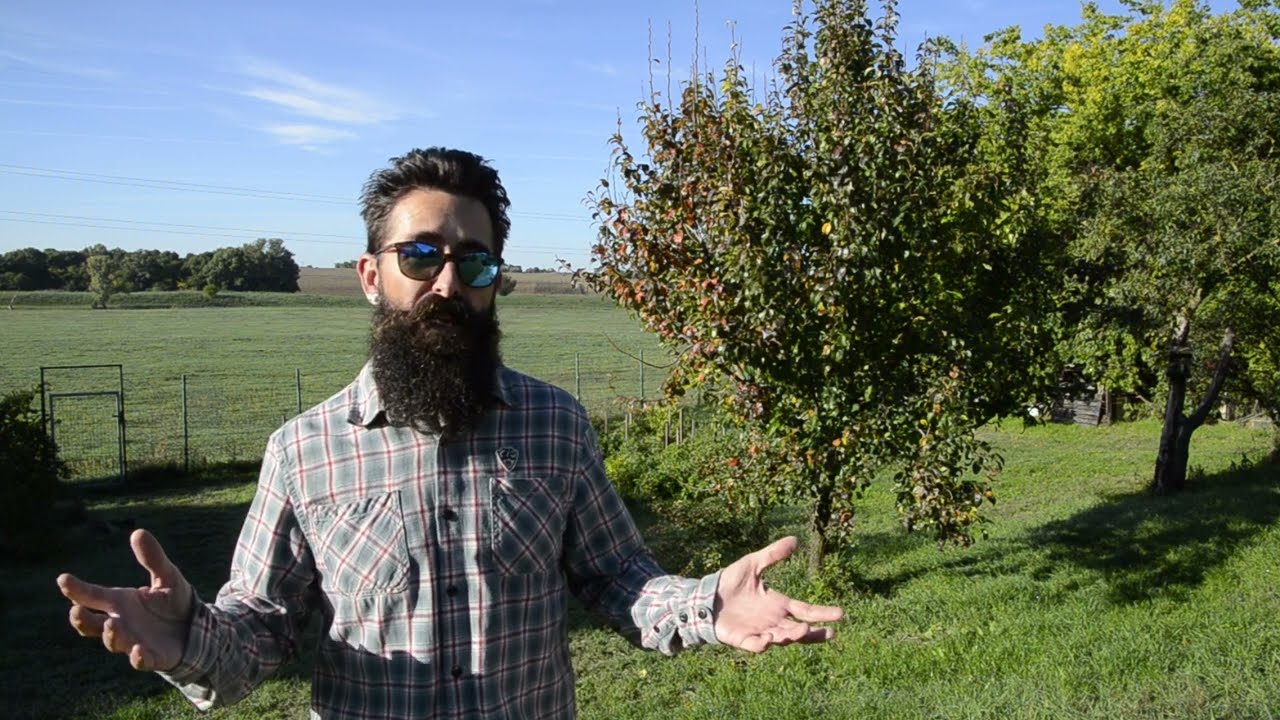 Ki vagyok én? - Szakmáim, végzettségeim, és, hogy milyen alapon beszélek én bármiről...