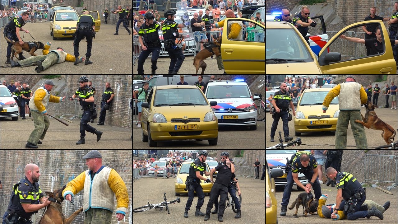 RESCUE ZEELAND 2025 | Politie demonstreert verschillende arrestaties met hond, vuurwapens en bikers!