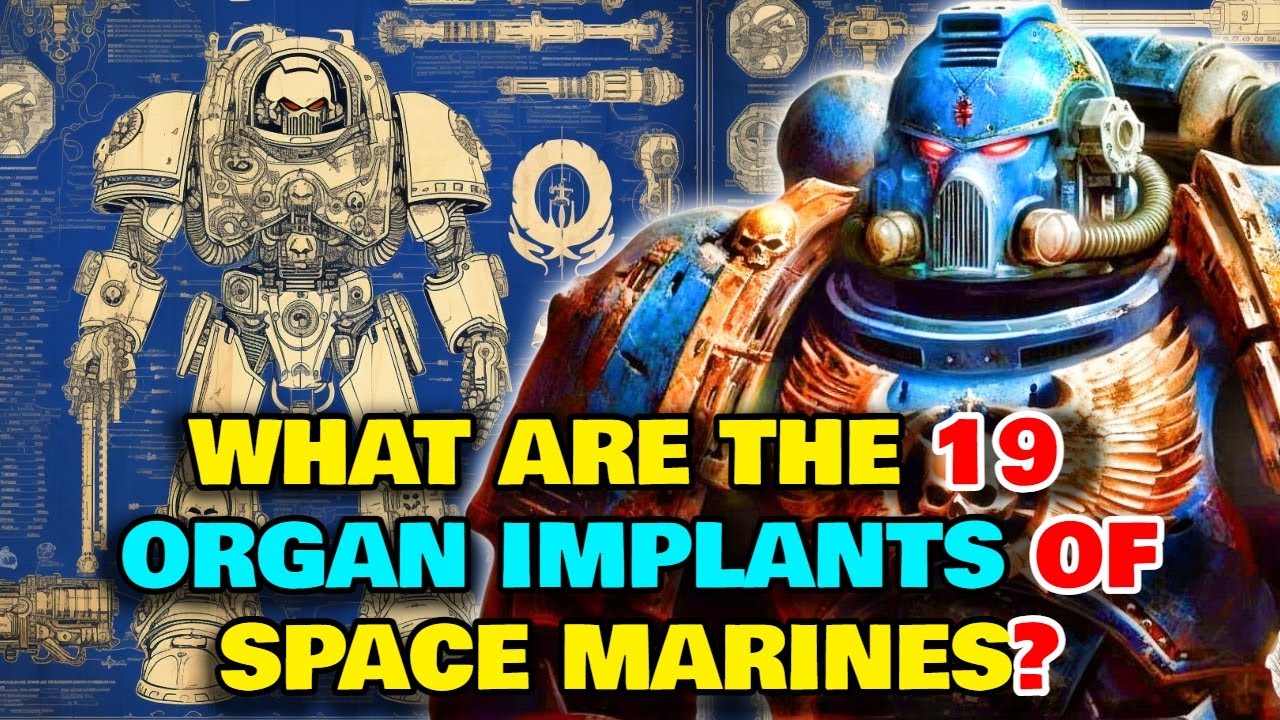 Space Marine Anatomy - What Are The 19 Implants That Every Space Marine Gets? What Is The Gene Seed?