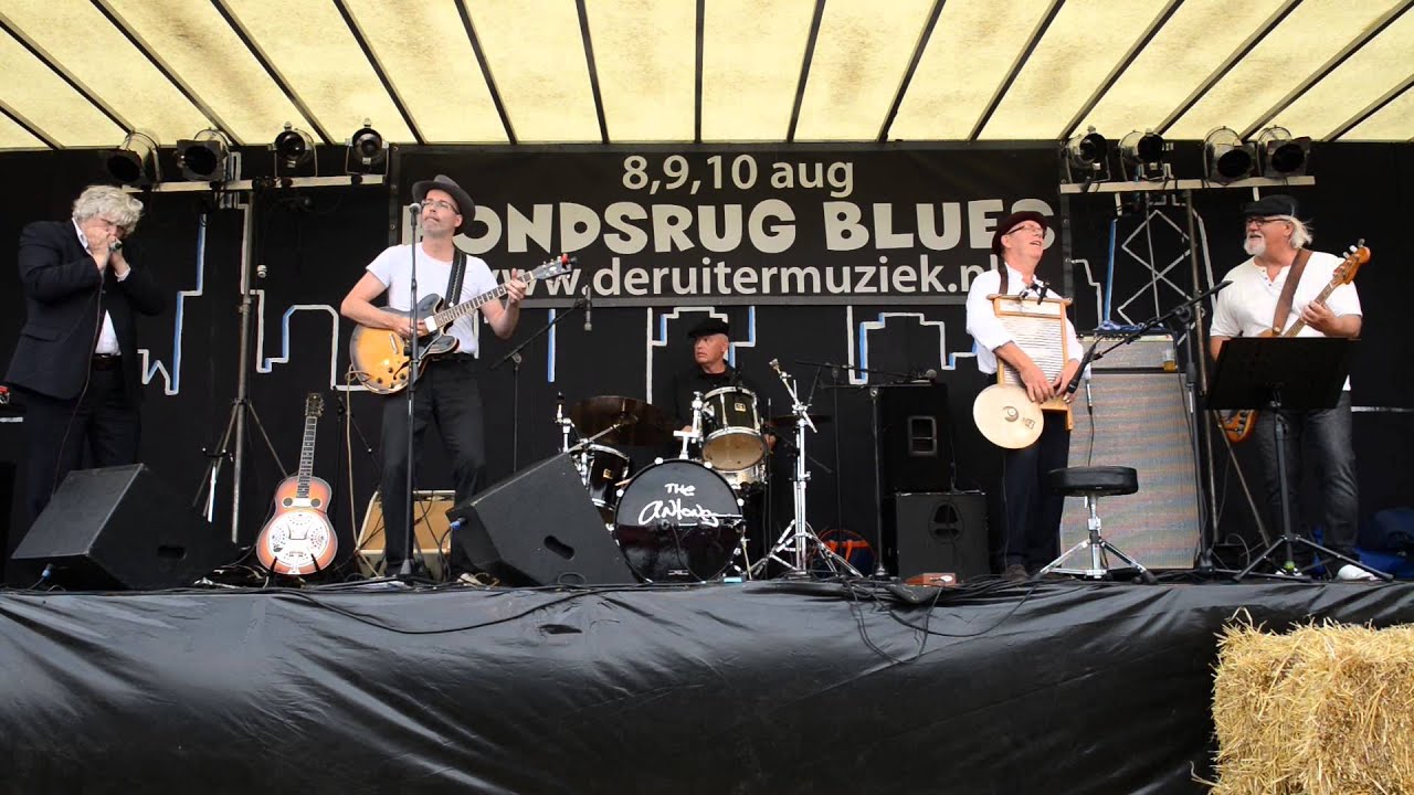 The Mississippi Kings - Shake your hips / Hondsrug Bluesfestival 2014