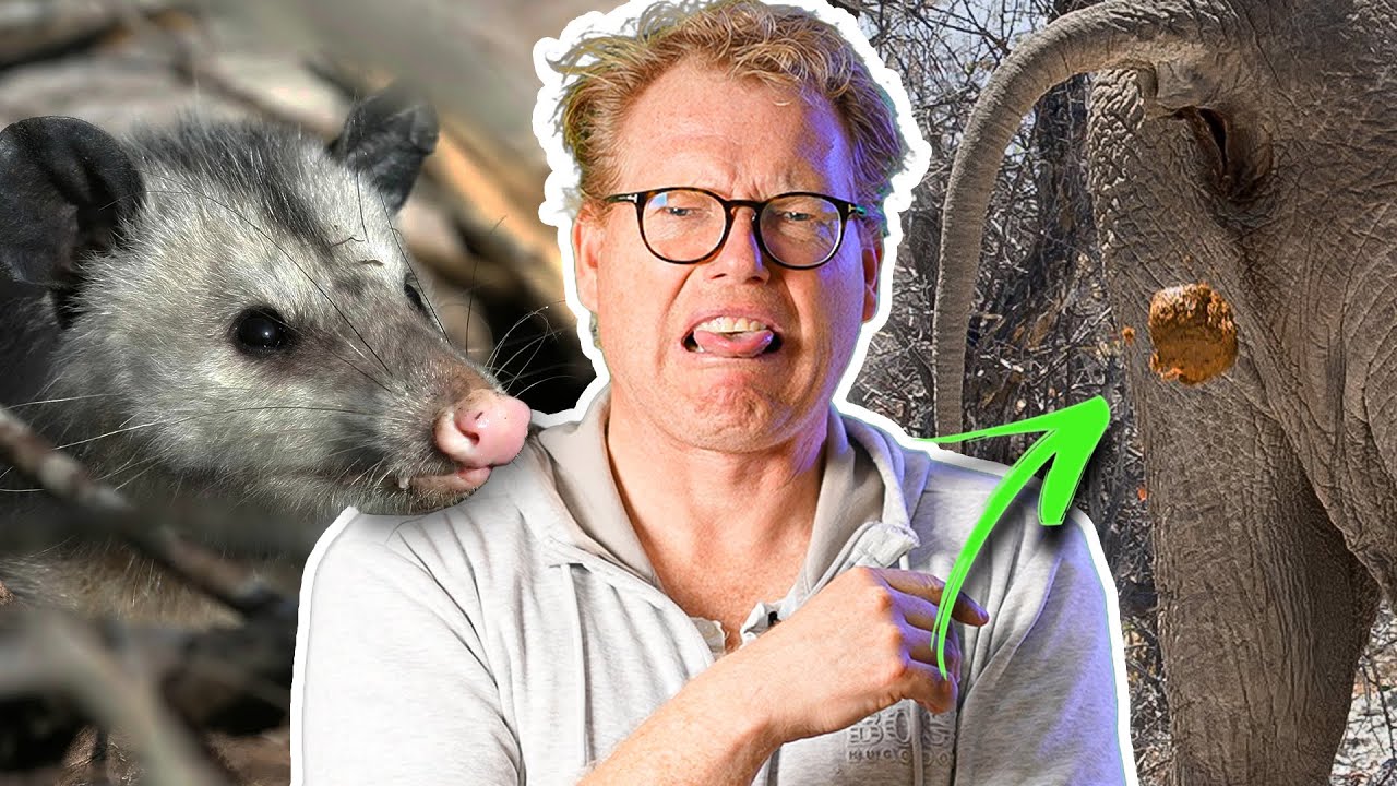10 klammeste dyr i verden | Sebastian Klein