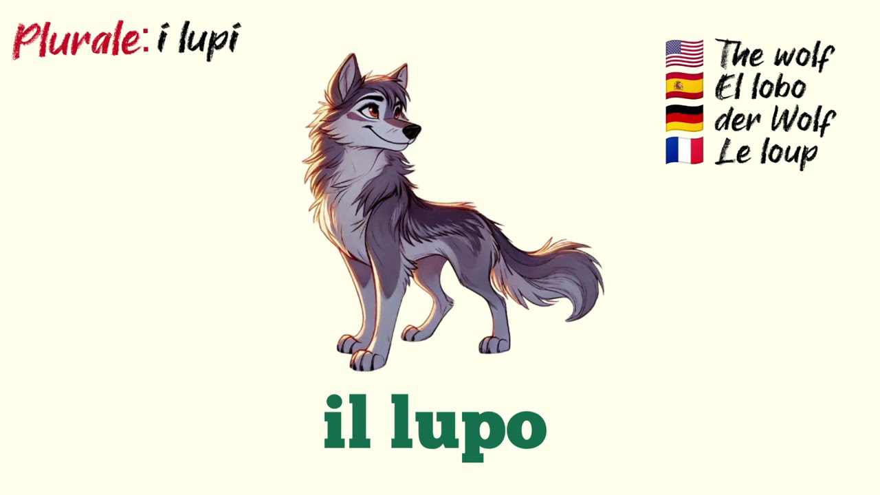 VOCABOLARIO ITALIANO: Come usare l’articolo ‘IL’ correttamente! 🇮🇹