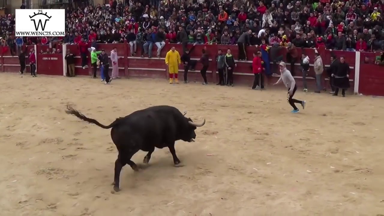 EMOCIONANTE CARNAVAL DEL TORO CIUDAD RODRIGO 2015