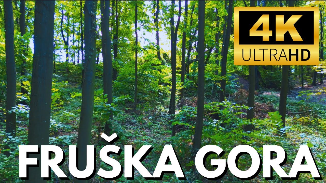 Drone Forest Exploration - Fru&scaron;ka gora 🇷🇸【4K】Experience Serbia - Aerial Tour