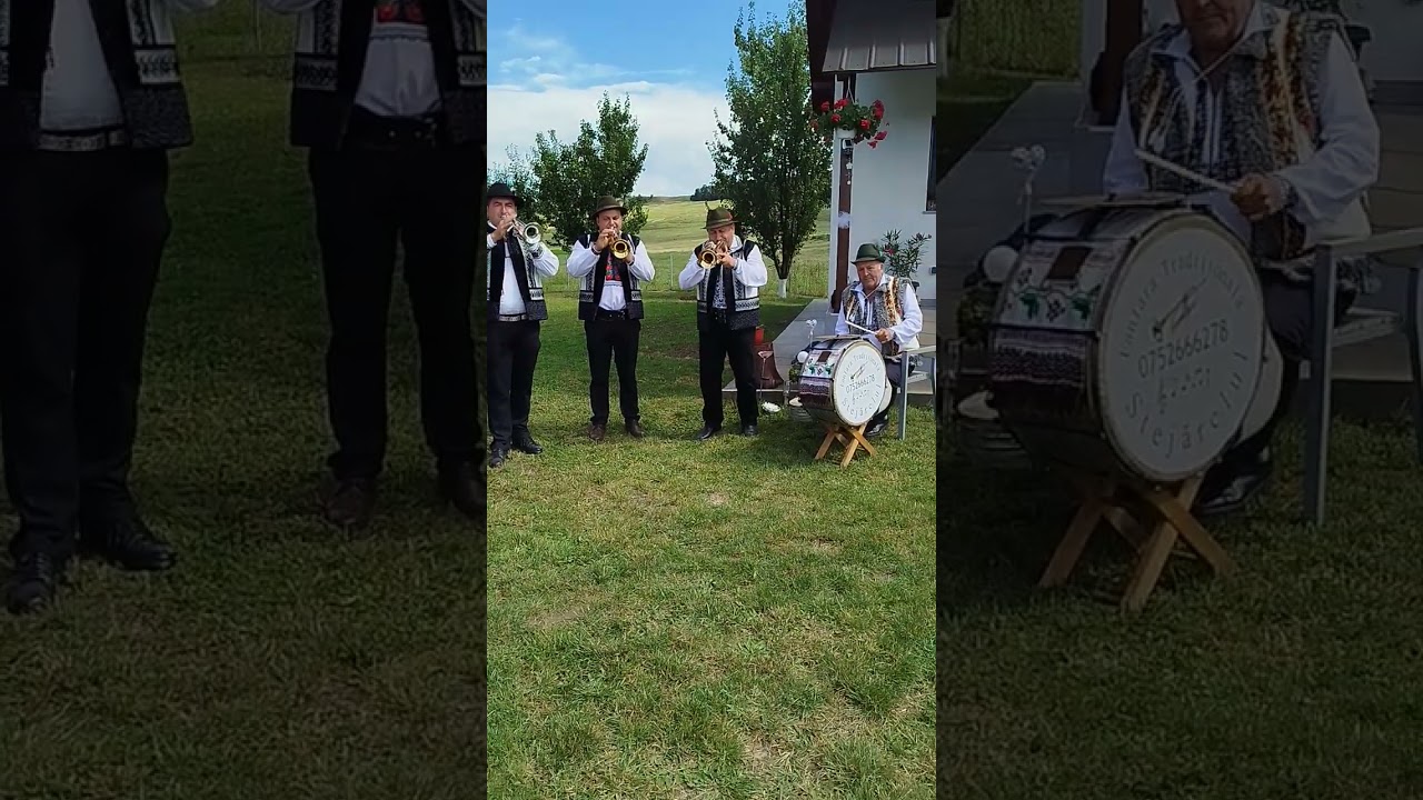 Fanfara Stejărelul Mihoveni 🍁 
