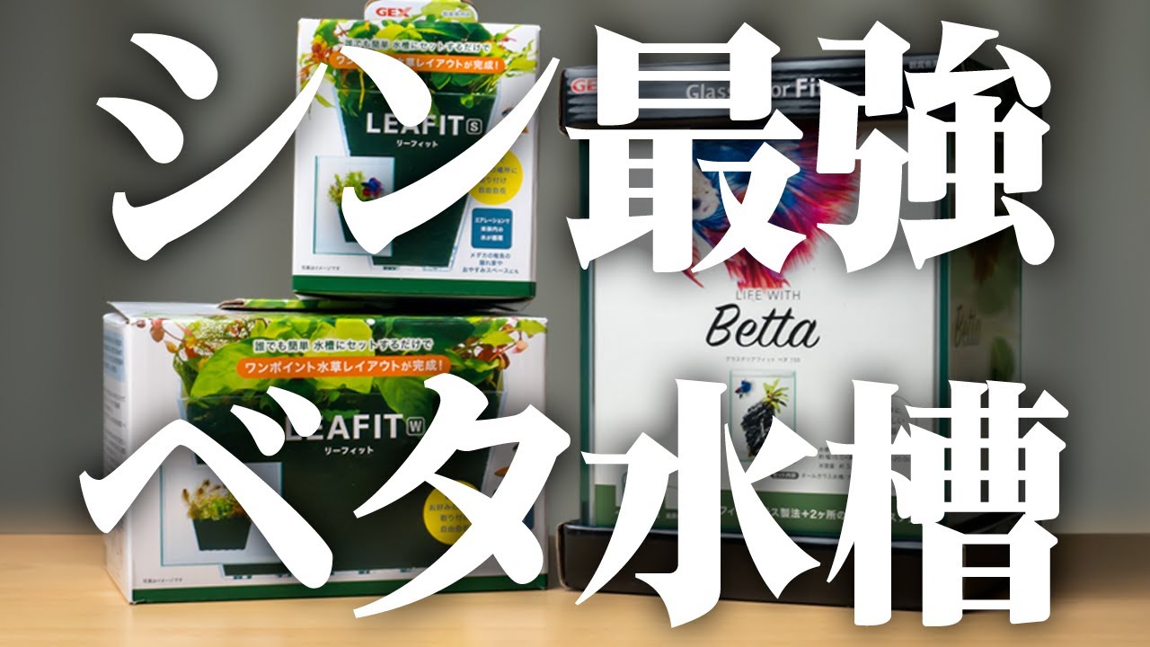 【2024最新製品】最強ベタ水槽リーフィット＋ベタ150！浮かせる植木鉢＋簡易ろ過＋ベタ飛び出し対策水槽！ #アクアリウム #熱帯魚 【ビバアクア】