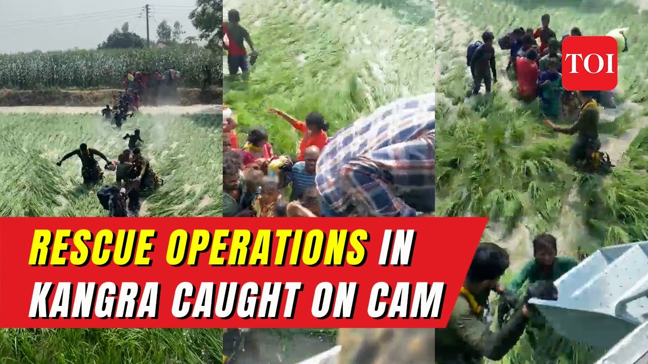 Watch: IAF's dramatic rescue operations in Himachal Pradesh captured on camera