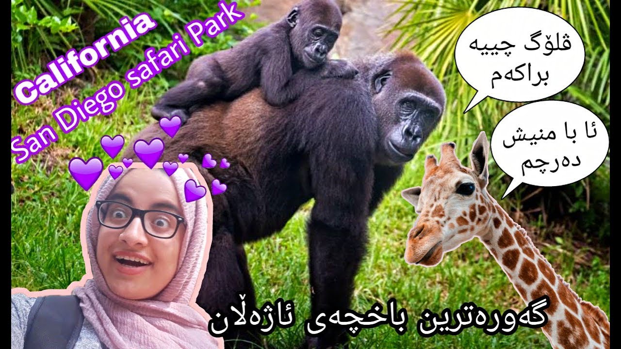 گەورەترین باخچەی ئاژەڵان😨! پڕبوو لە گۆرێلا 😂 😍|VLOG