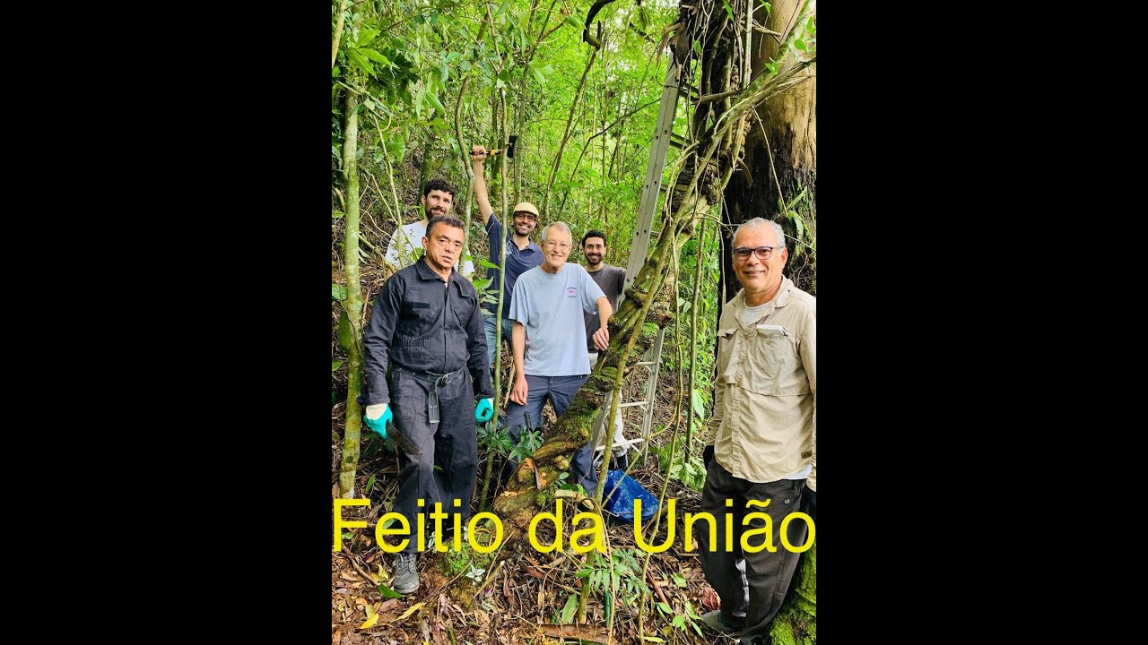 FEITIO DA UNIÃO e MANTRA DO ETERNO AMOR