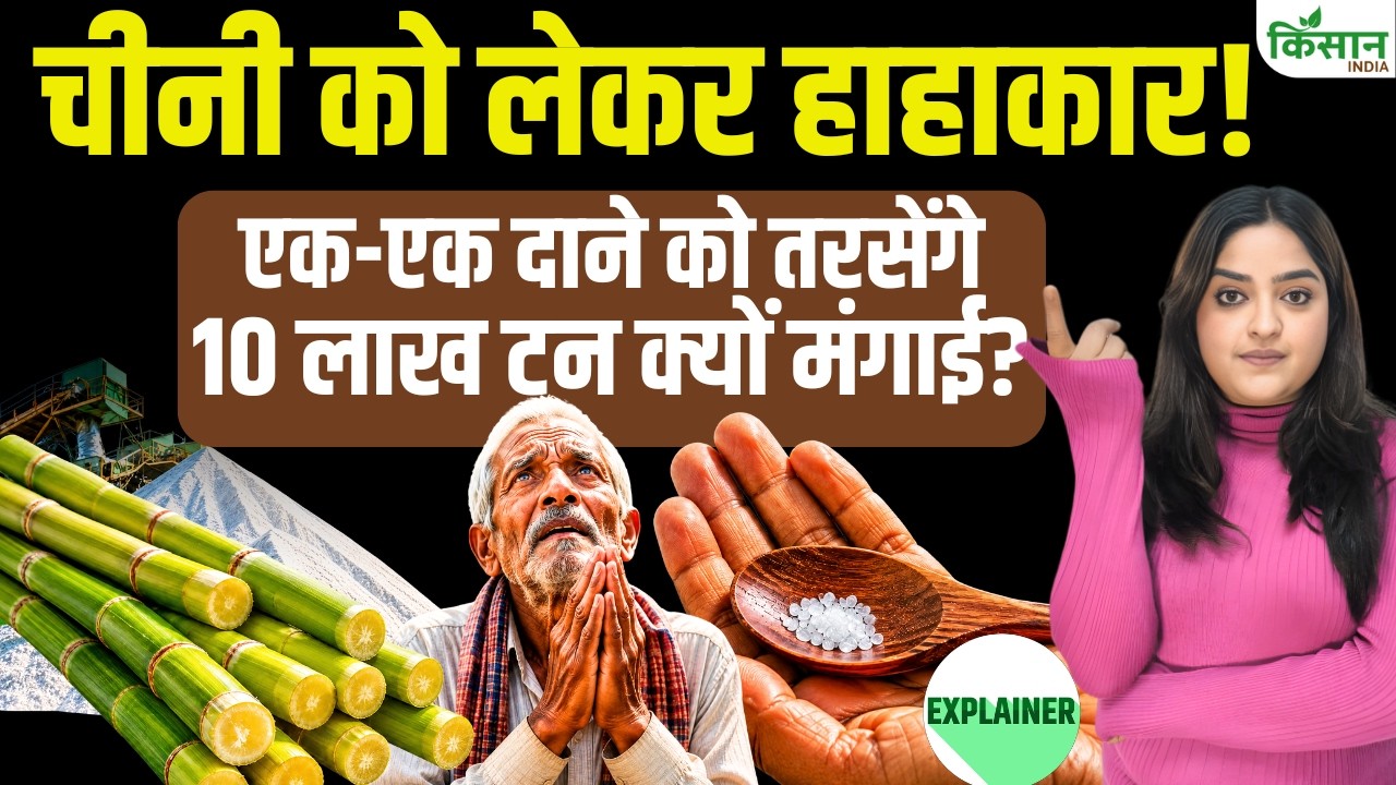 Sugar Price Hike: A Major Sugar Crisis, Are We Running Out? | E20 | Sugar Stock Limit