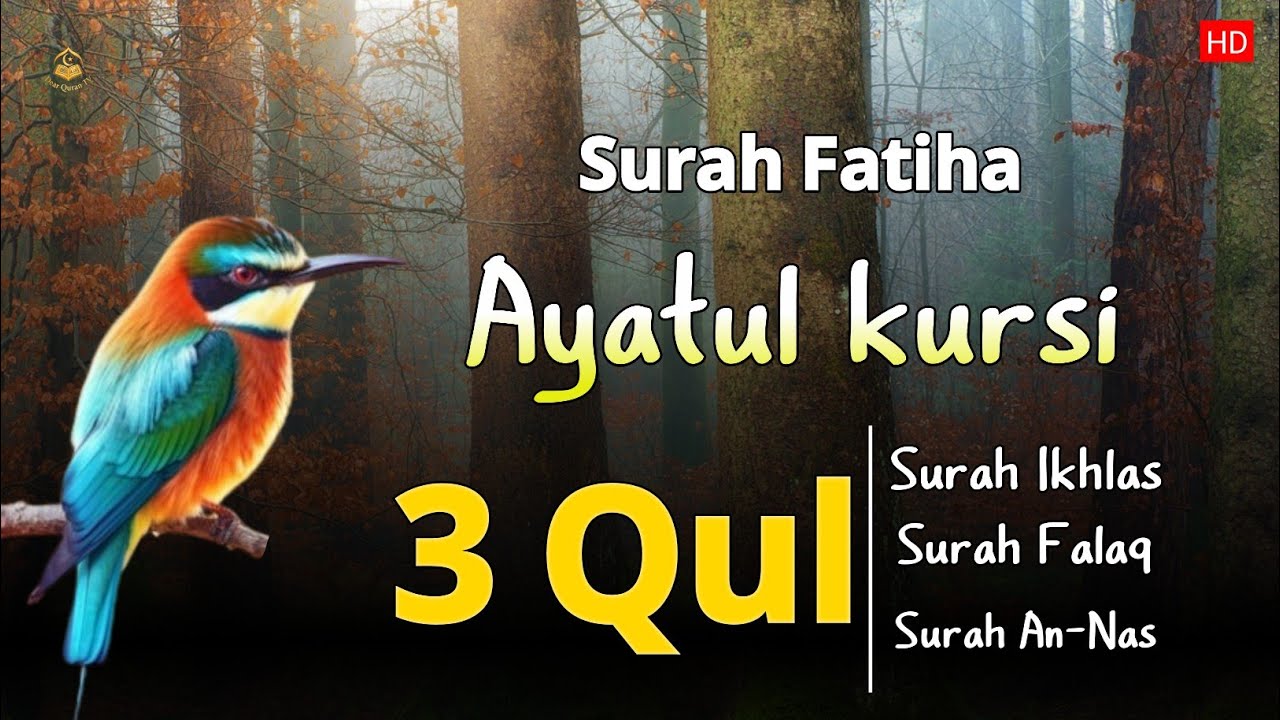 Surah Fatiha Ayatul kursi 3qul | Heart Touching recitation | quran recitation | By Alaa Aqel |