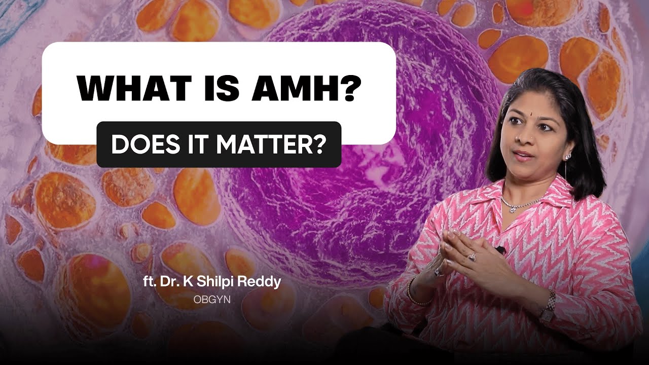 What Is AMH and Why It Matters for Fertility?