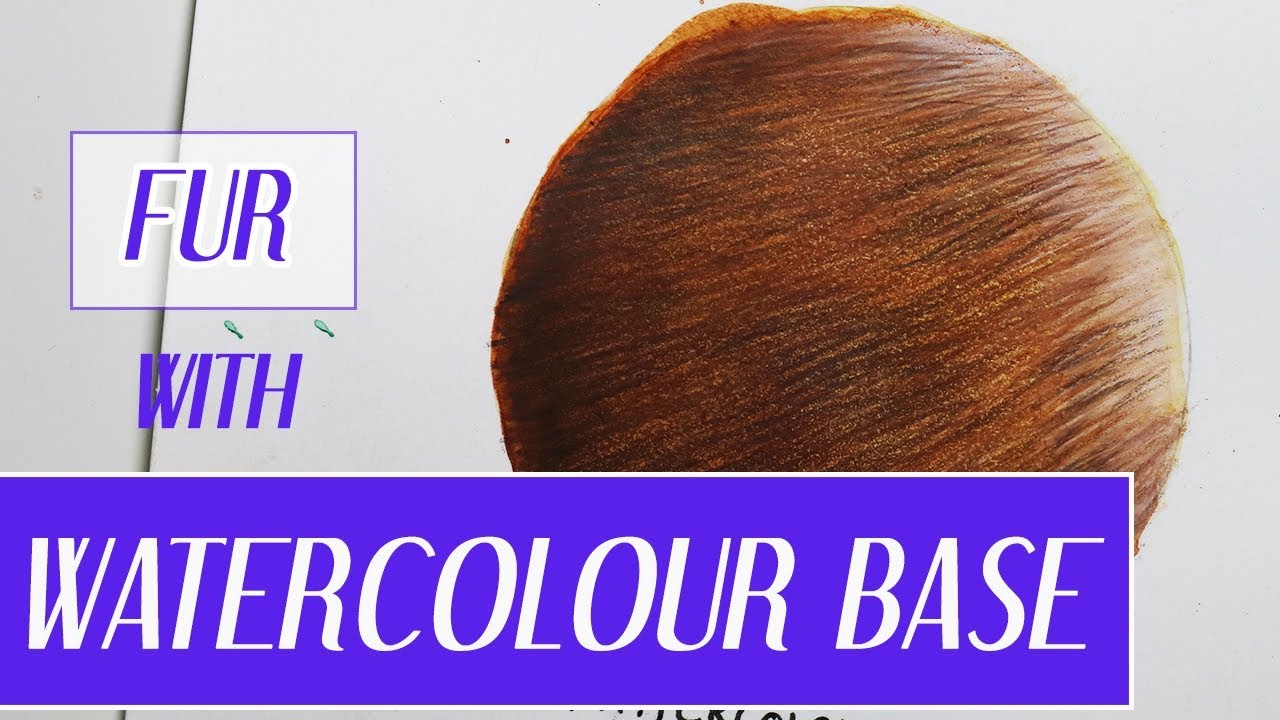 DRAWING FUR WITH A WATERCOLOUR BASE | Coloured Pencil Tutorial