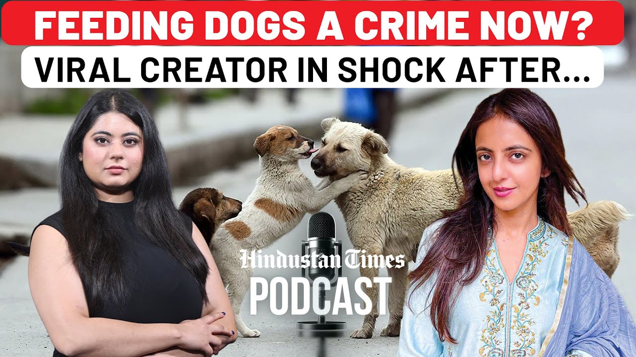 Can Society Turn Savage&hellip;Over a Bowl of Dog Food? Indies | Street Dogs | Feeder Harassment | AWBI