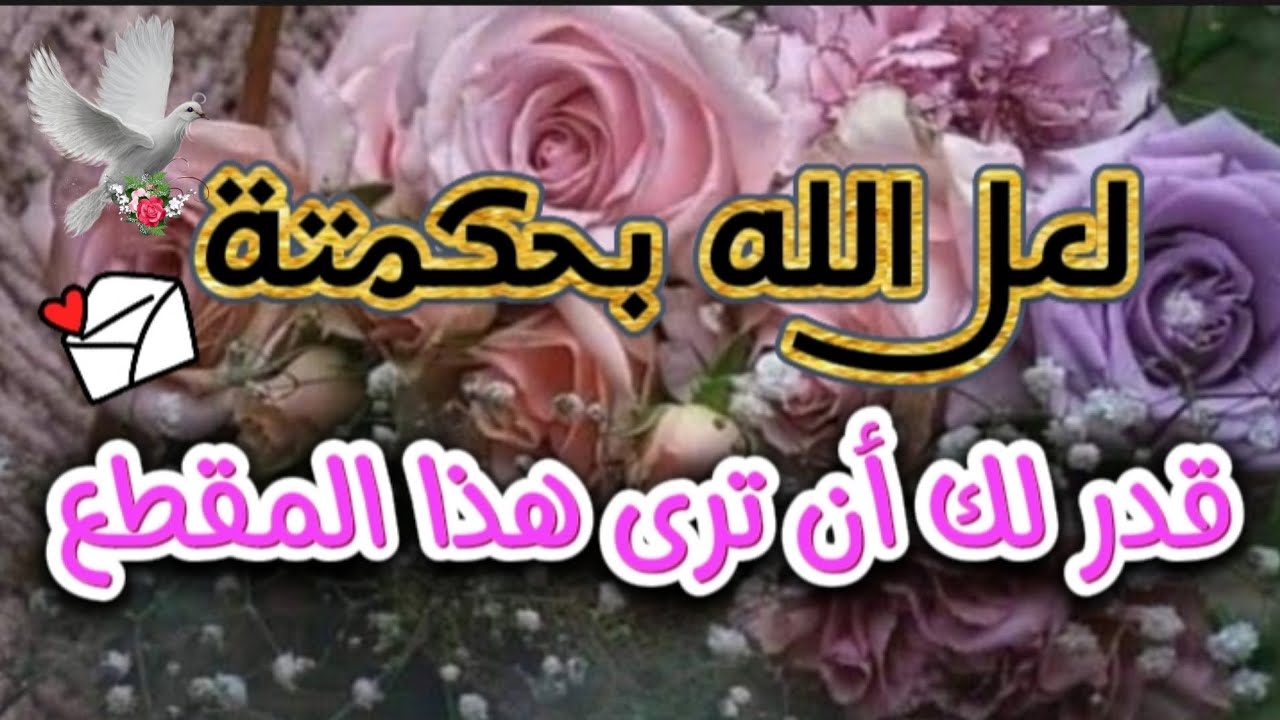 رسالة لك 💌 نداء الخالق إذا ظهر لك هذا المقطع افتحه الان فهو مقدر لك