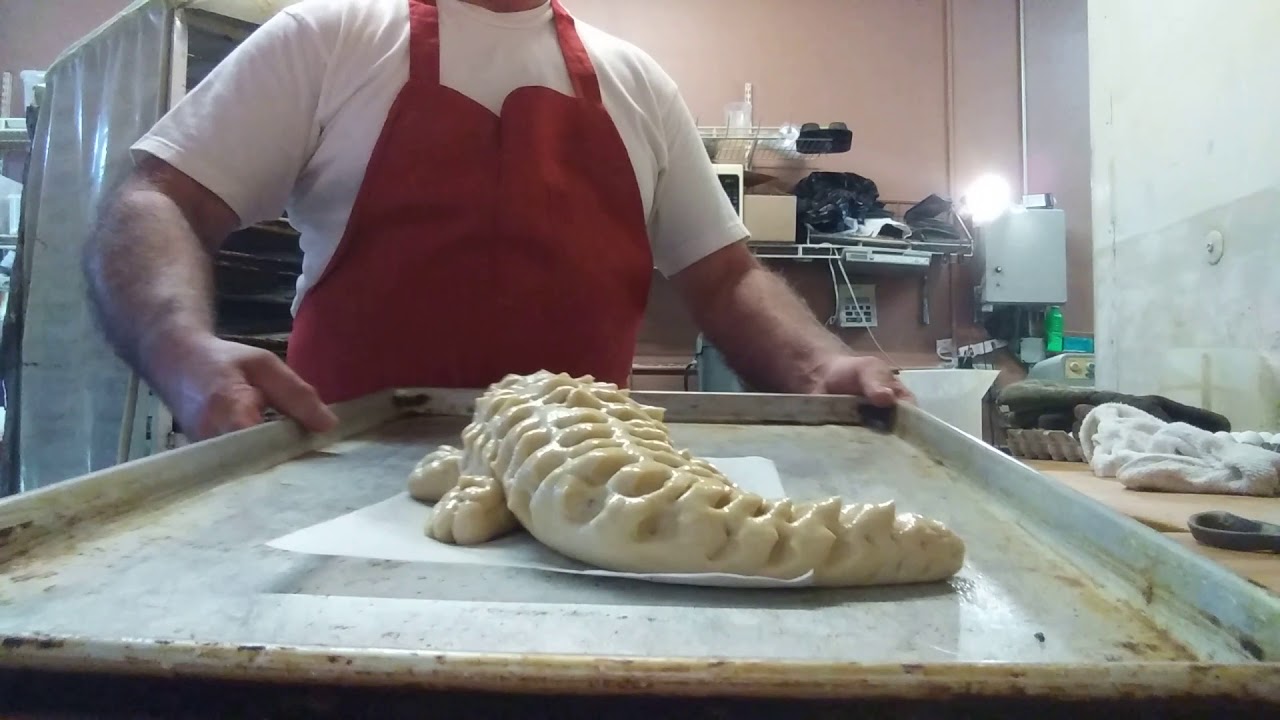 Cocodrilo o Lagarto