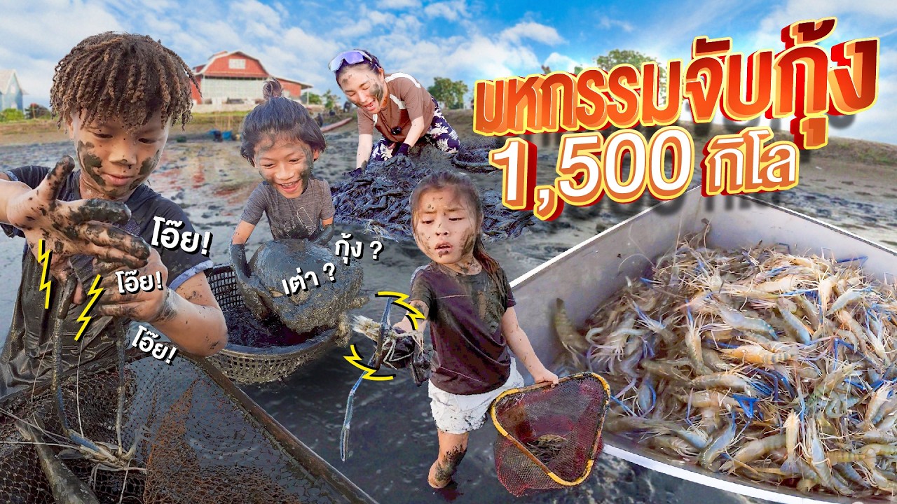 จับกุ้งมือเปล่า !!! 1,500 กิโล | กุมารTravel EP.406