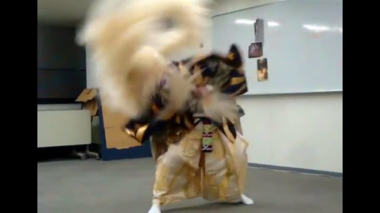 Japanese Kabuki - The Lion Dance