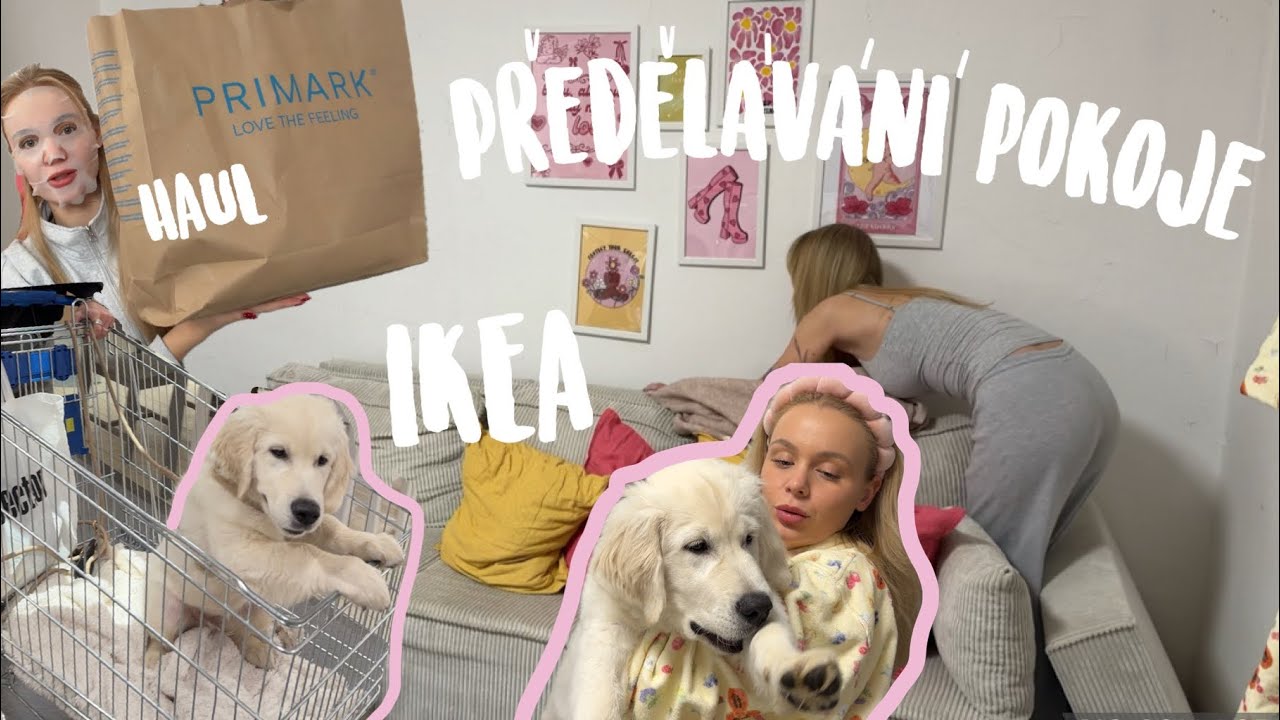 VLOG🐶 IKEA se štěnětem, předělávání pokoje, haul, naše Vánoce 🤍