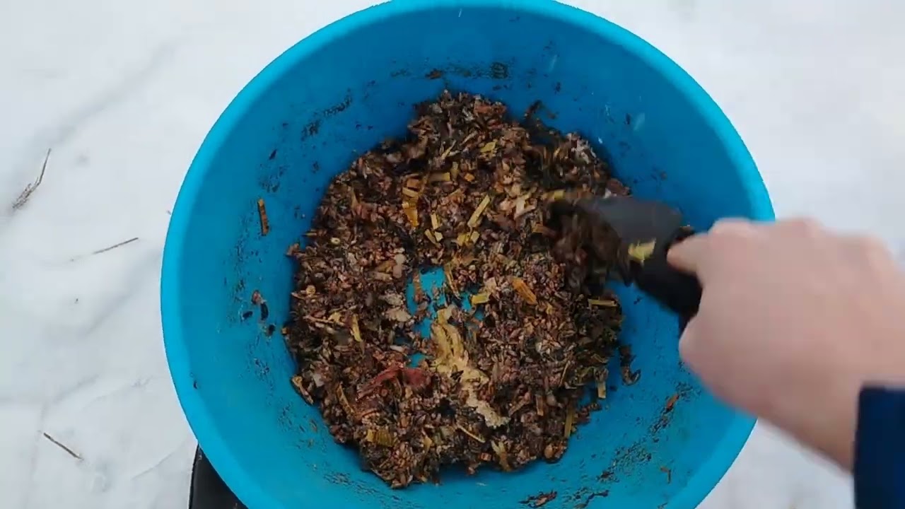 21.01.26г. ЧТО С КУРОЧКОЙ?😧 КАЖЕТСЯ В СТАЕ -1😟😢