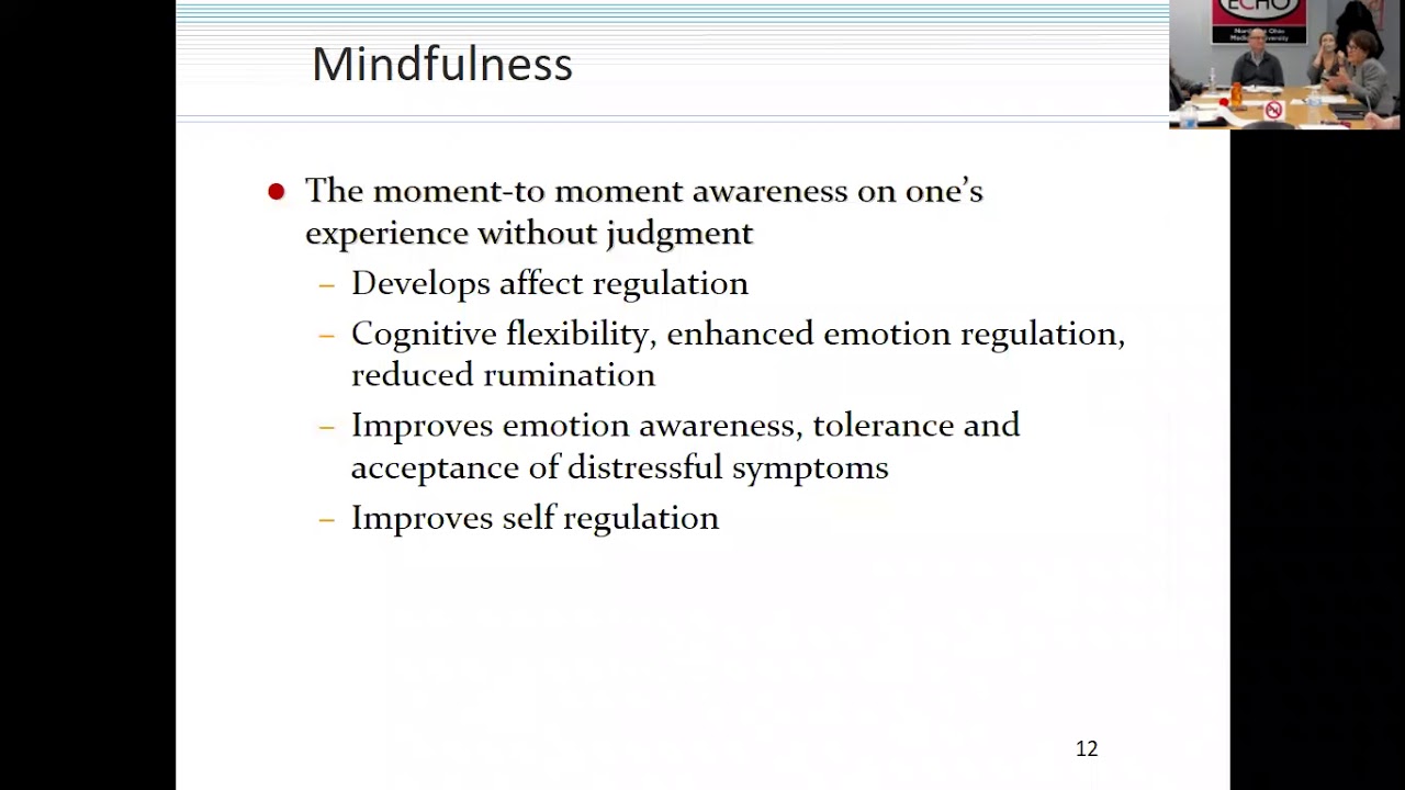Emotional Regulation Strategies for Youth with Complex Needs