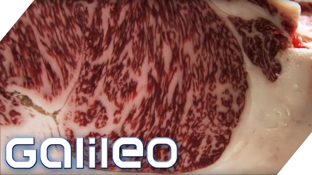 150 Euro pro Portion: So schmeckt das edelste Fleisch der Welt | Galileo | ProSieben